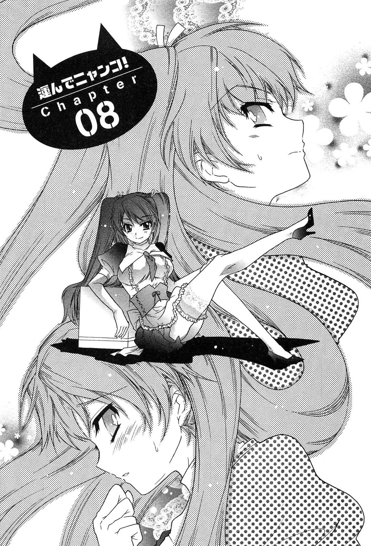 [ほんだありま] 運んでニャンコ!