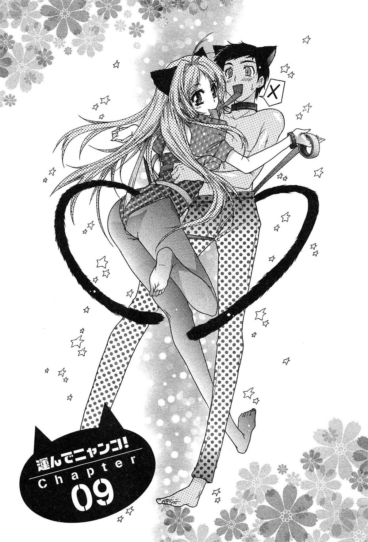 [ほんだありま] 運んでニャンコ!