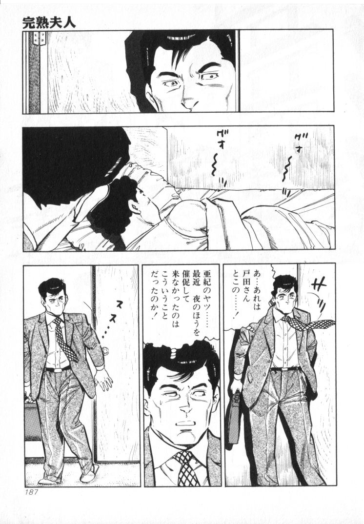 [城野晃] 完熟夫人