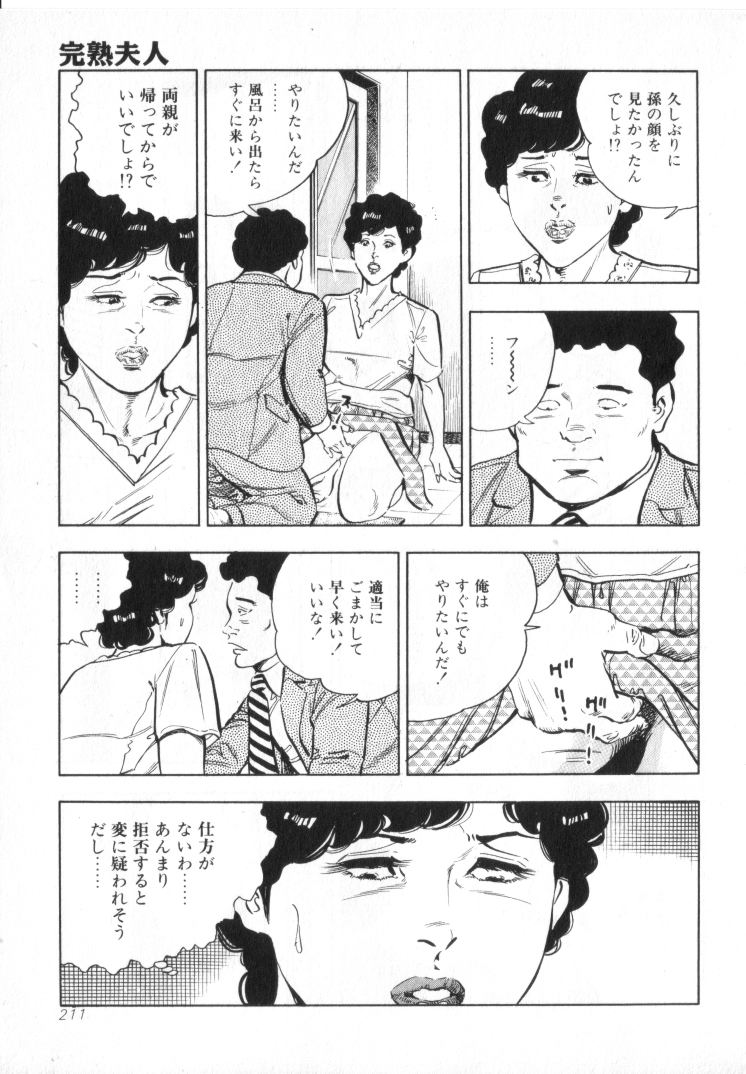 [城野晃] 完熟夫人