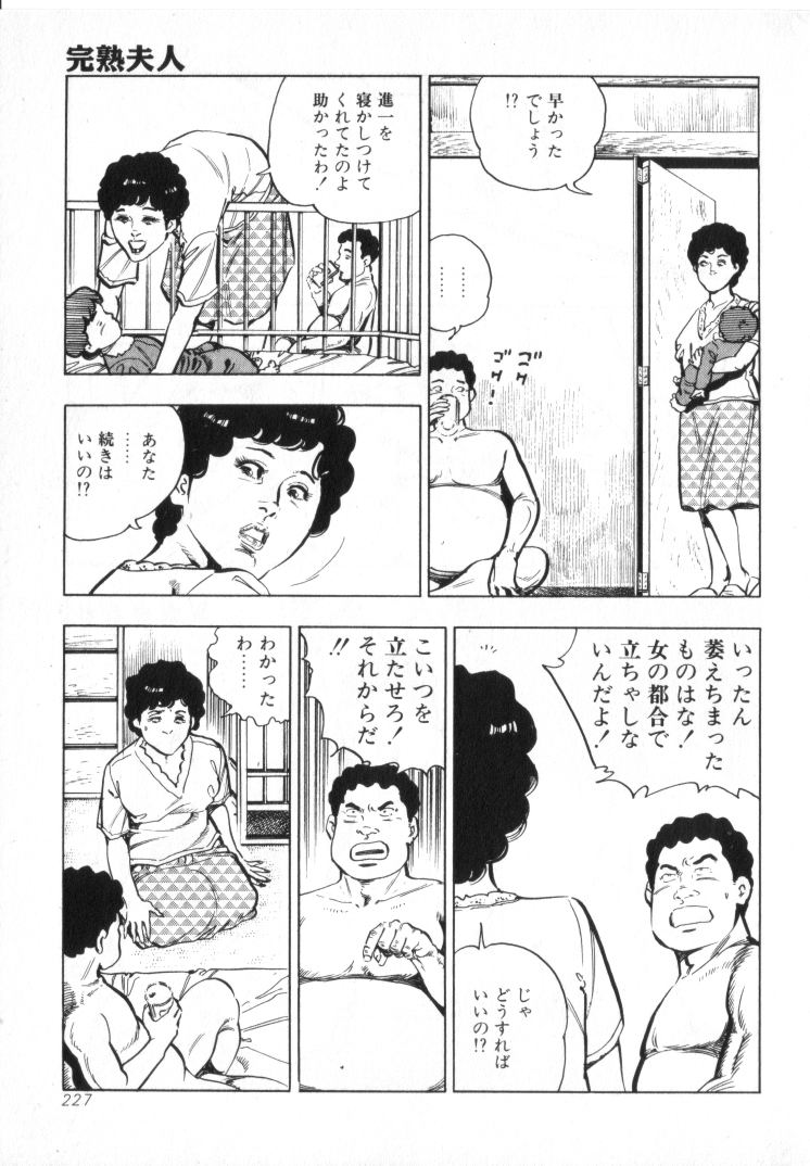 [城野晃] 完熟夫人