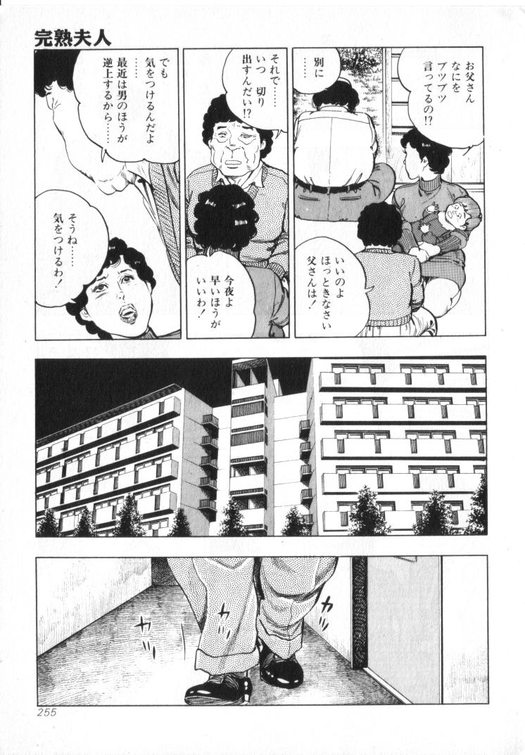 [城野晃] 完熟夫人