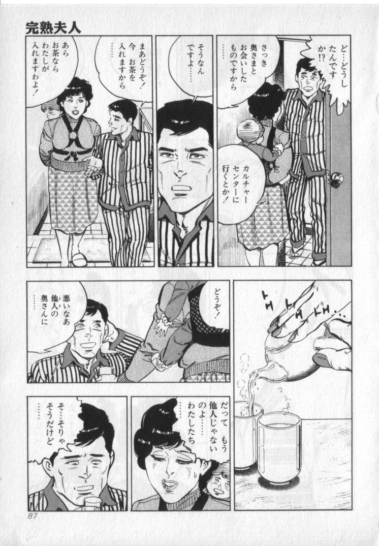 [城野晃] 完熟夫人