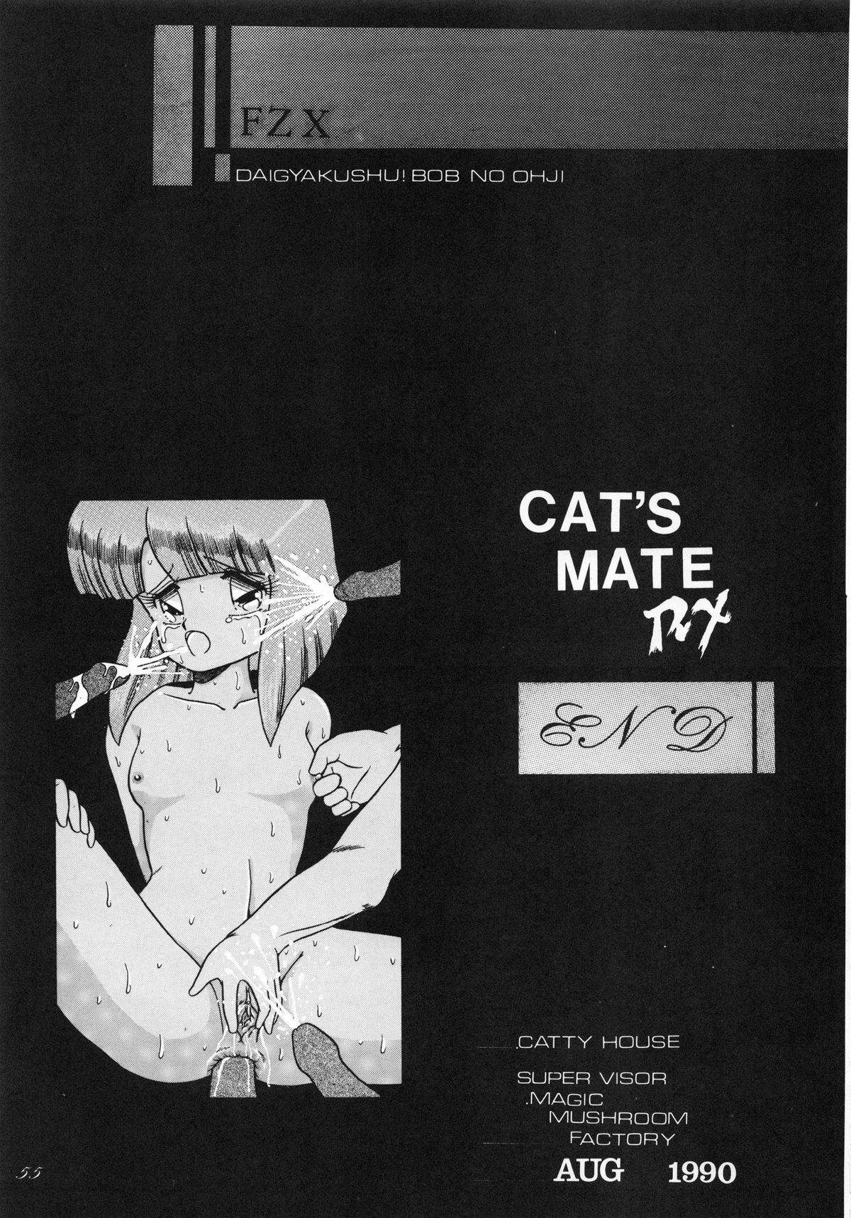 (C38) [Catty House (塀場D)] Cat's Mate RX (がルフォース)