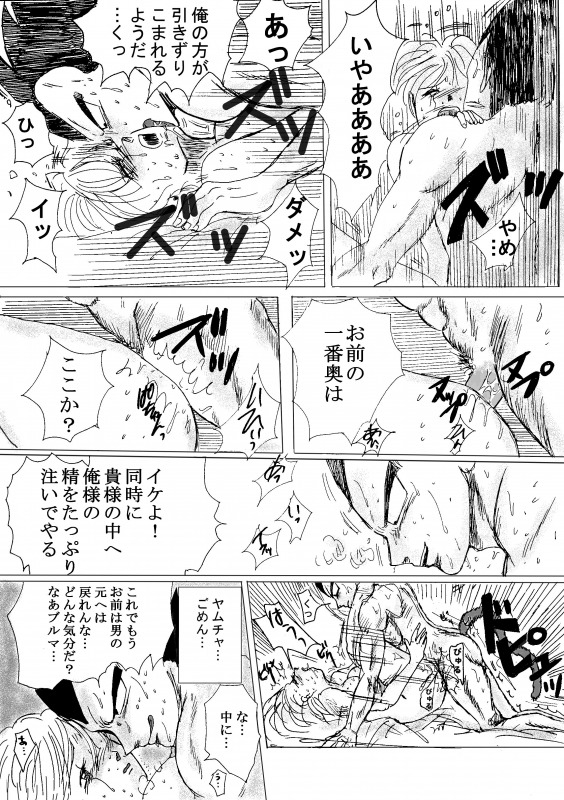 [苺飴] TO SHARE ONE´S FATE 前編 (ドラゴンボールZ)