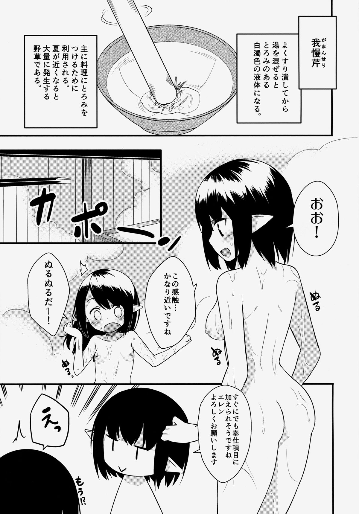 (C85) [忘らるる手紙 (びんせん)] エルフ姉妹の挑戦