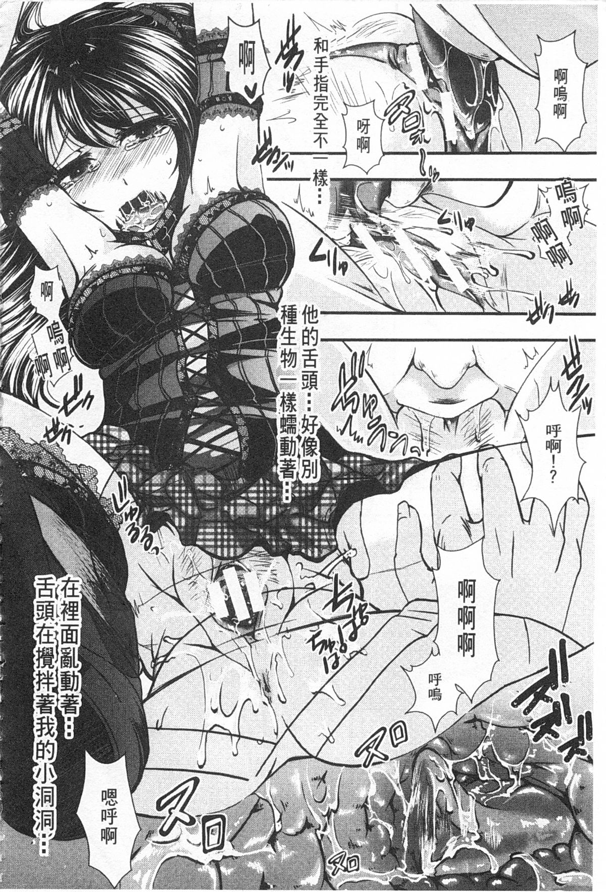 [hal] 壊楽園 －豚以下な私－ [中国翻訳]