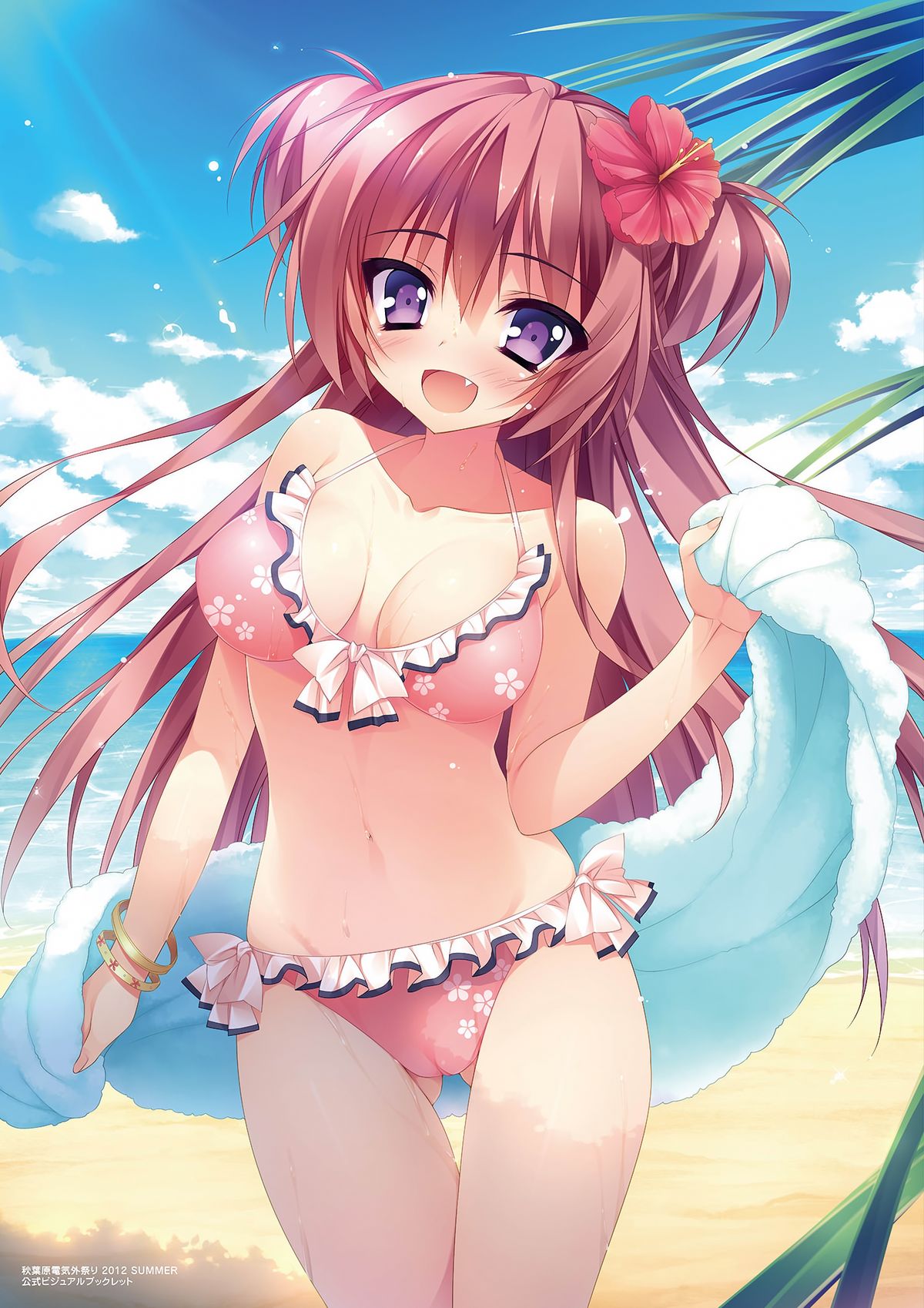 祝福の鐘の音は、桜色の風と共に ビジュアルファンブック