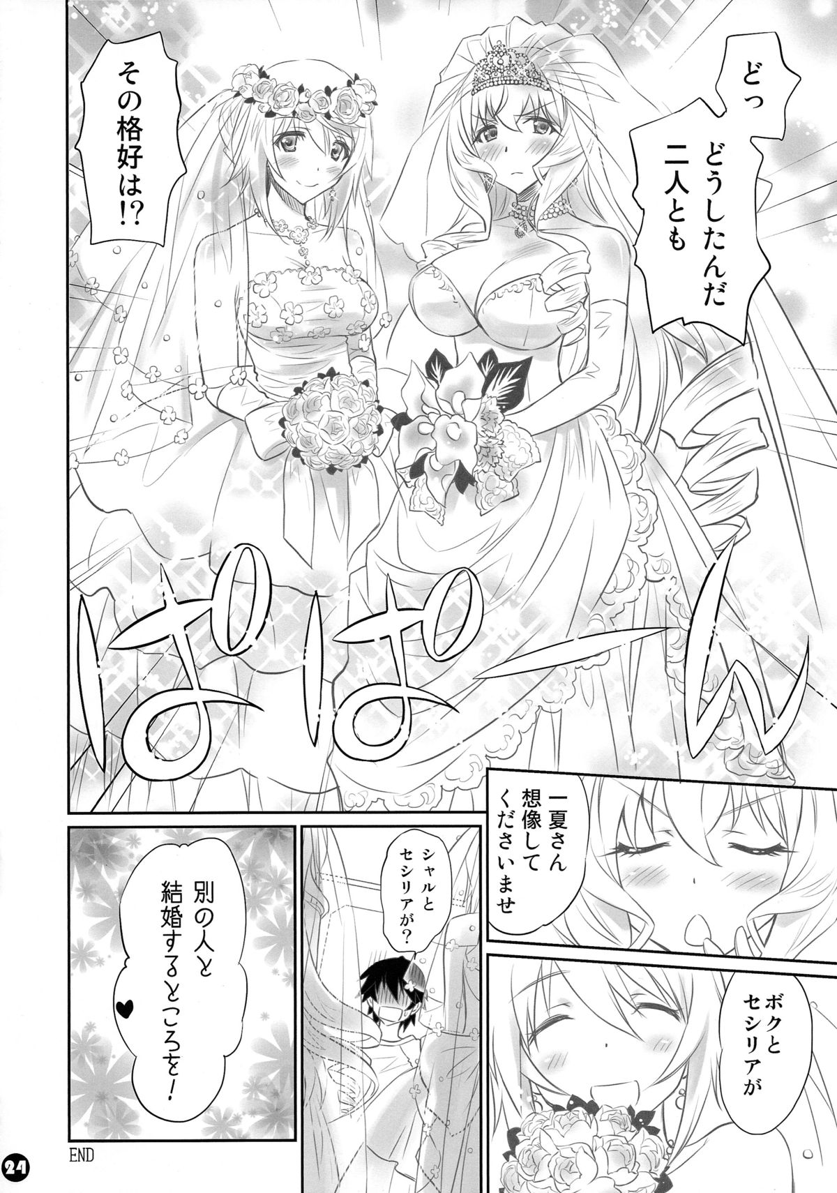 (COMIC1☆8) [Bloody Okojo (モジャコ、きゃびあ)] IMAGINE!!～いいから想像して!!～(IS＜インフィニット・ストラトス＞)