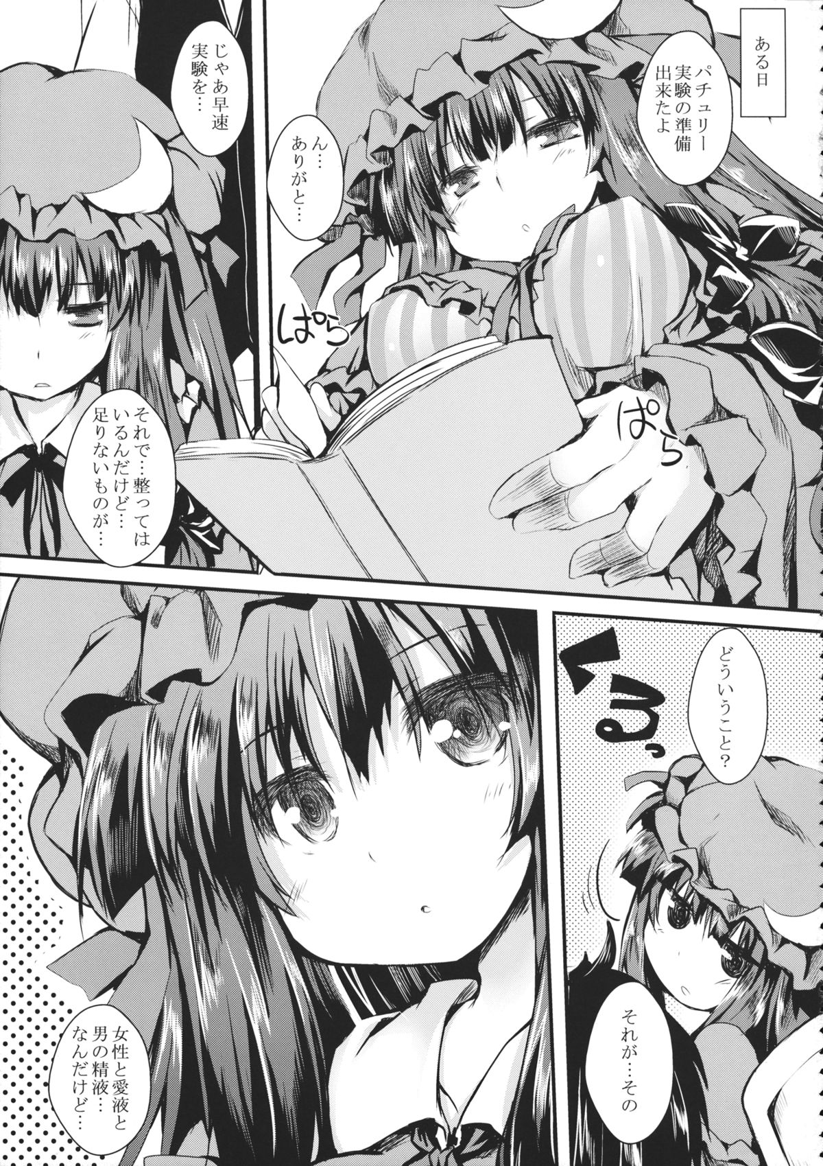 (例大祭11) [ねちょらぽっど (なんぷぅ)] パチェックス (東方Project)