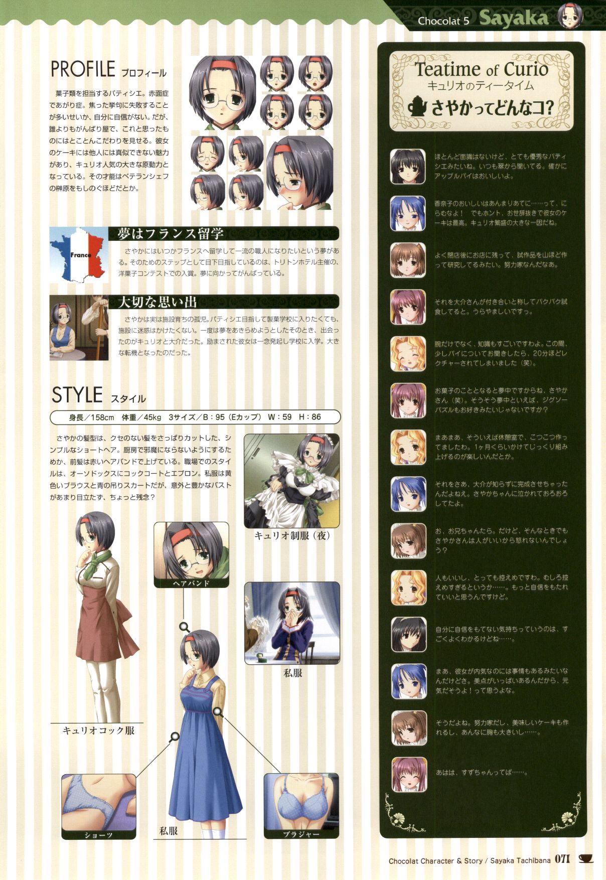 [戯画 (Neko Nyan)] ショコラ&パルフェ ビジュアルファンブック