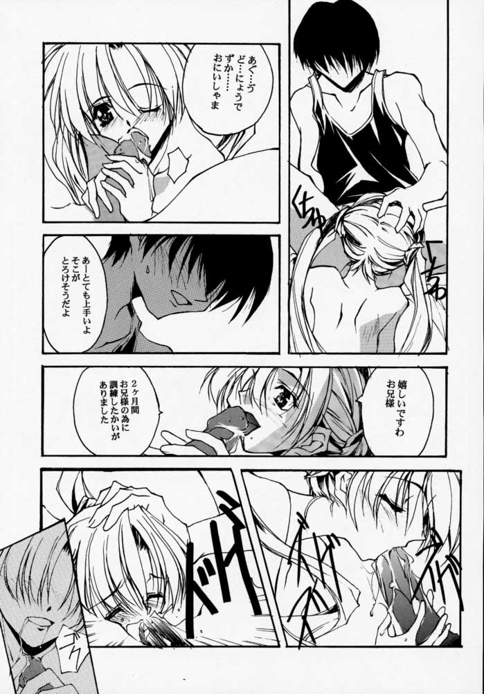 (Cレヴォ28) [流石堂 (流ひょうご)] Geschwister (シスタープリンセス)