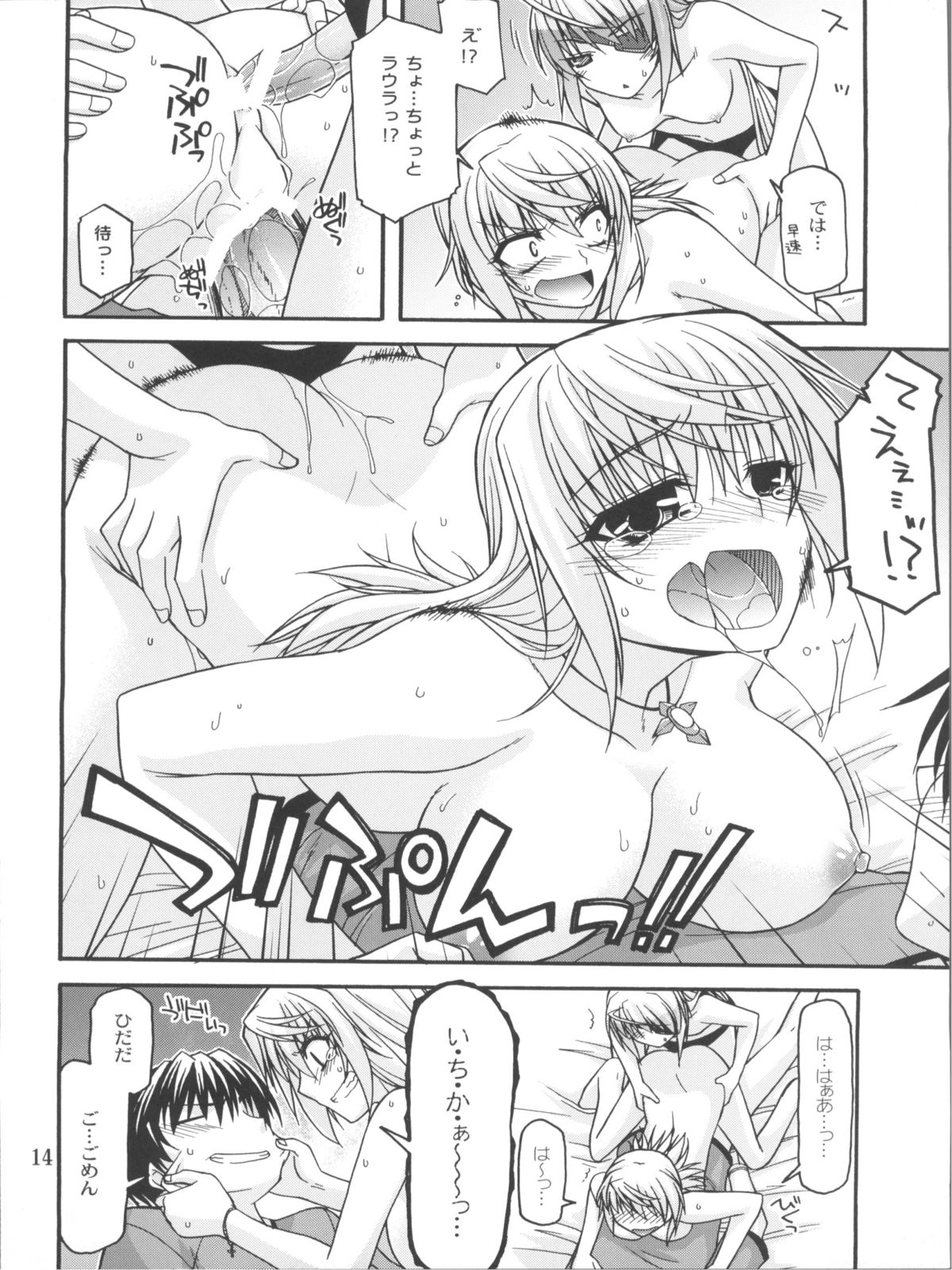 (COMIC1☆5) [CRIMSON GROUND (宮社惣恭)] Schwarzer Rafale (IS＜インフィニット・ストラトス＞)