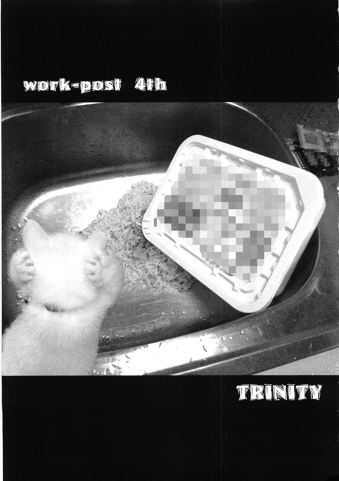 (コミックキャッスル2005) [work-post (夜水)] TRINITY (月姫)