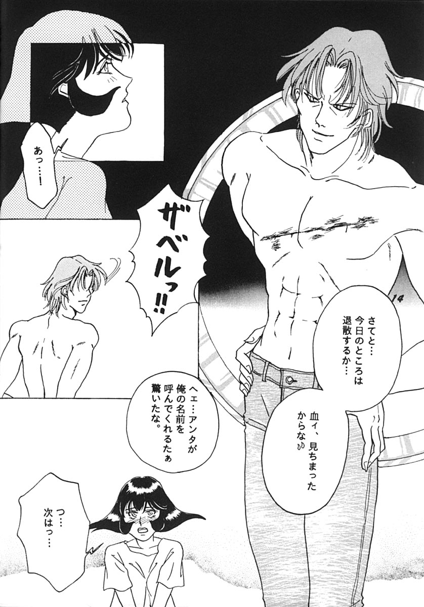 [ひよこ･N･スペシャル (飛四子・N)] しじょうのらくえん (ヴァンパイアセイヴァー)