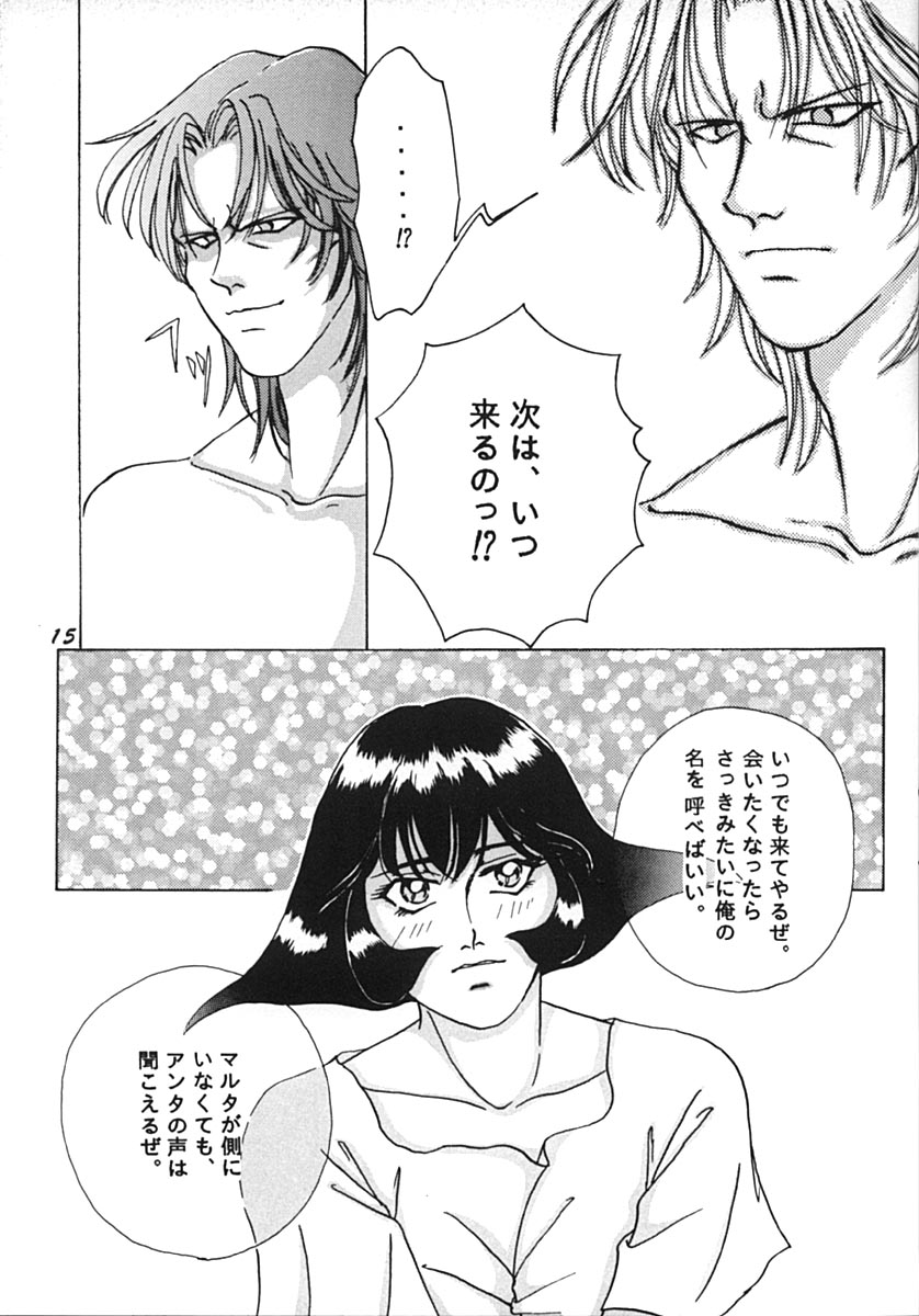 [ひよこ･N･スペシャル (飛四子・N)] しじょうのらくえん (ヴァンパイアセイヴァー)