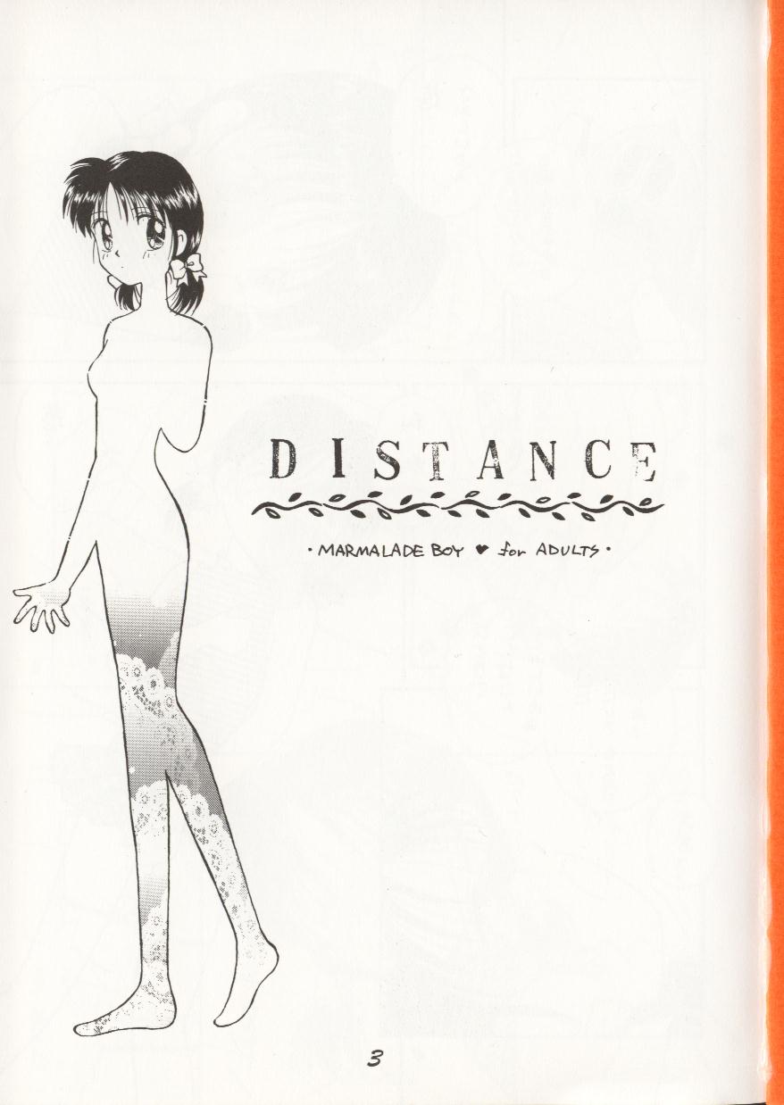 (C48) [大日本子供出版 (DONKEY)] distance (ママレードボーイ)