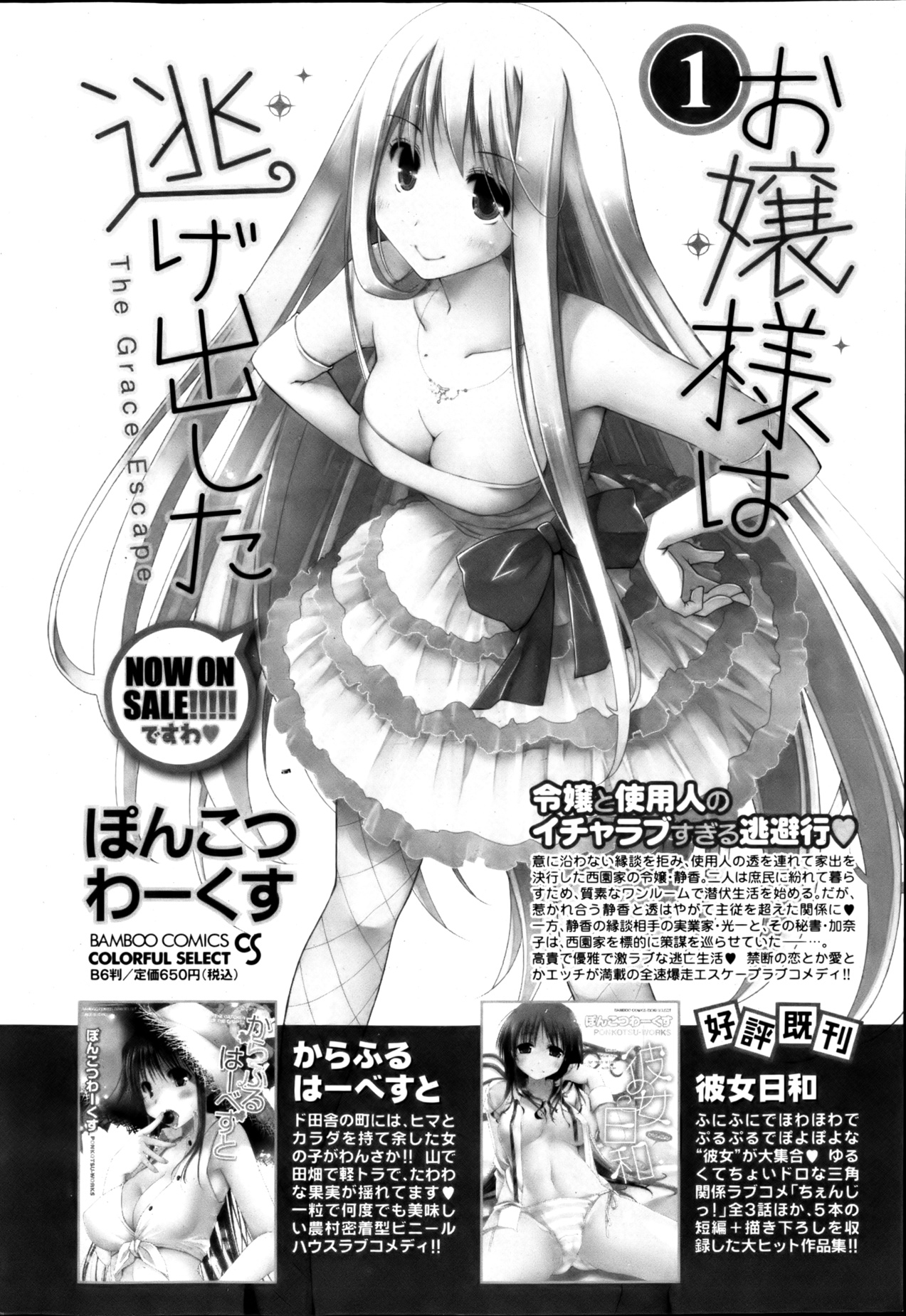 月刊 ビタマン 2013年3月号