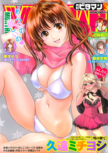 月刊 ビタマン 2013年3月号 月刊 ビタマン 2013年3月号