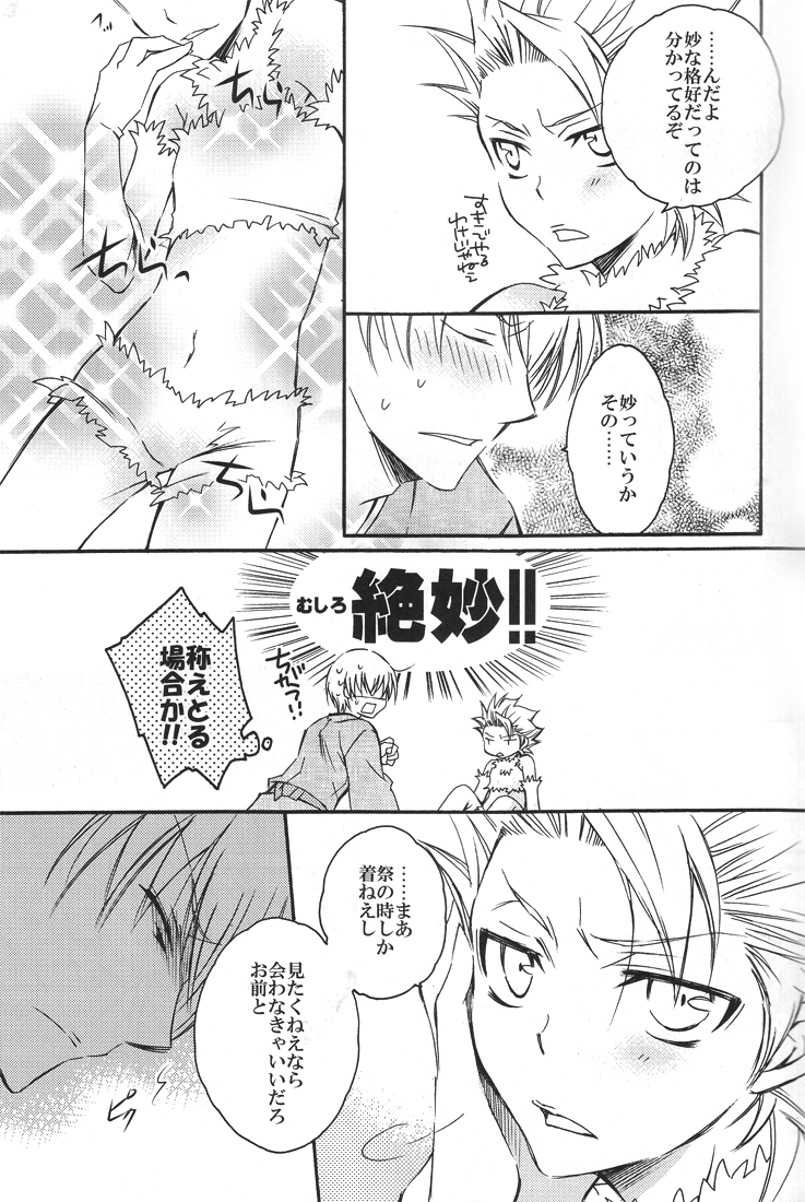(C77) [Love Scythe (栖賀まゆ)] 幼獣ヒツガヤ (ブリーチ)