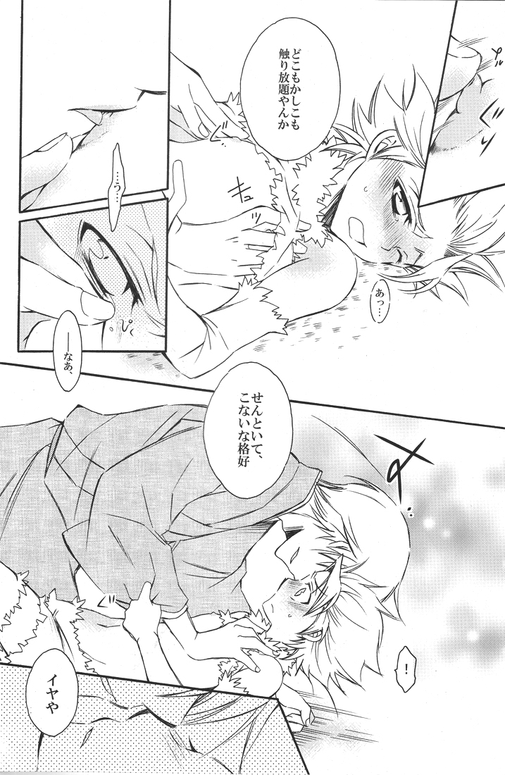(C77) [Love Scythe (栖賀まゆ)] 幼獣ヒツガヤ (ブリーチ)