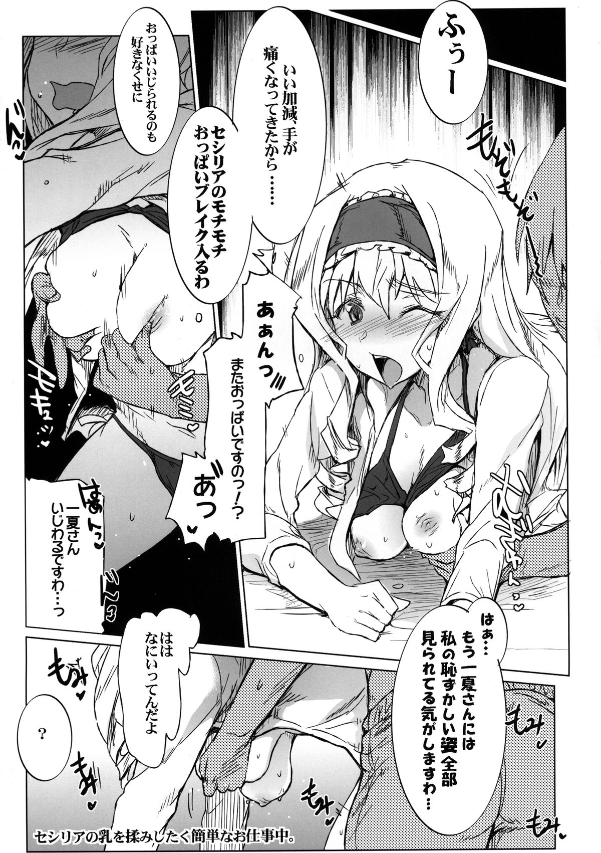 [RIBI堂 (陽方暁)] IS Girls 2 (IS＜インフィニット・ストラトス＞) [DL版]