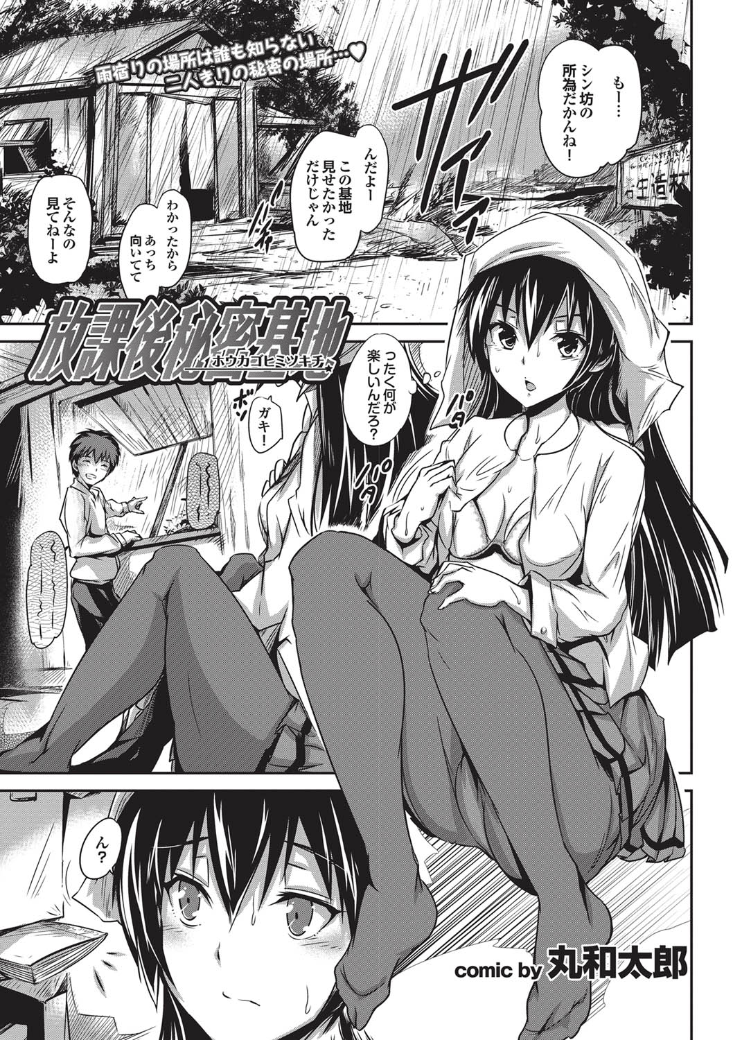 COMICプルメロ 2011年01月号 [DL版]