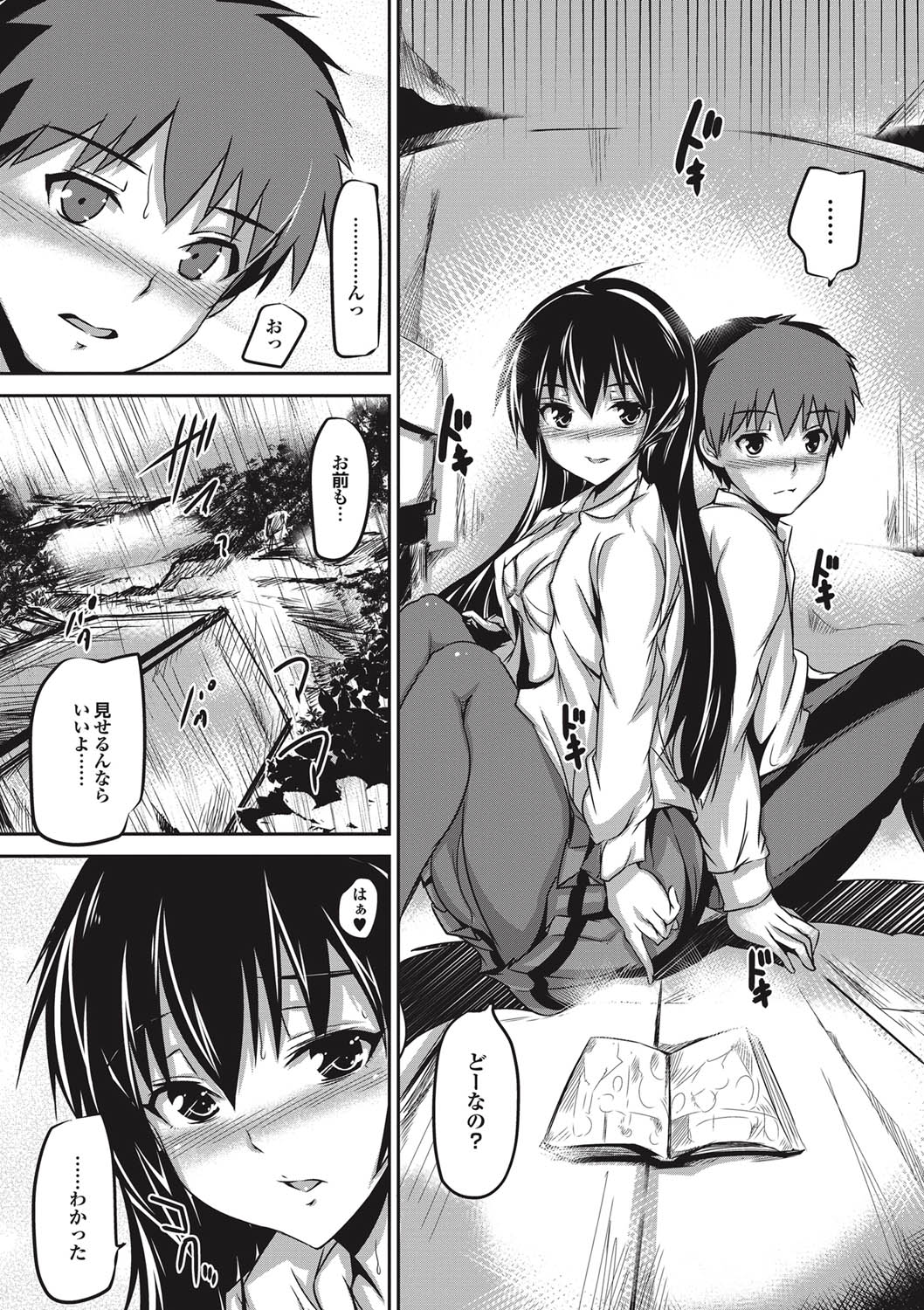 COMICプルメロ 2011年01月号 [DL版]
