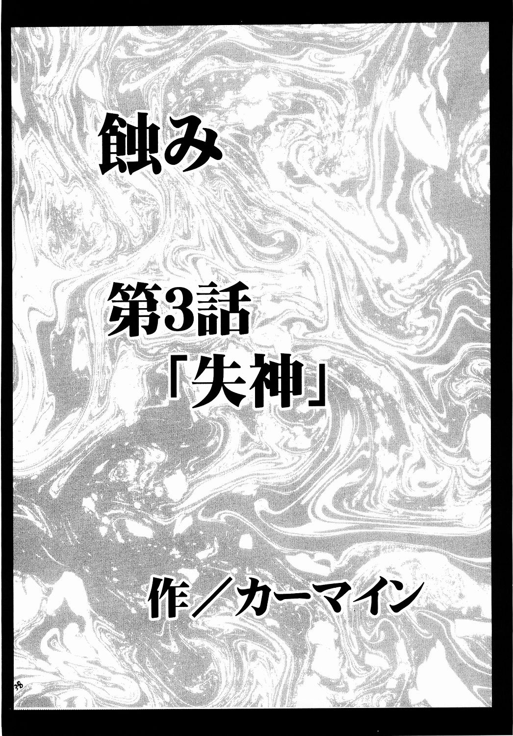 (C65) [クリムゾン (カーマイン)] 侵食総集編 (ブラックキャット)