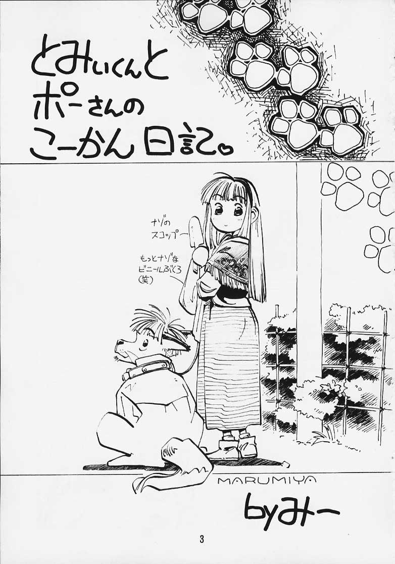 (C58) [まるみ屋 (みー)] こころのともちび vol.4 (はいぱーぽりす)