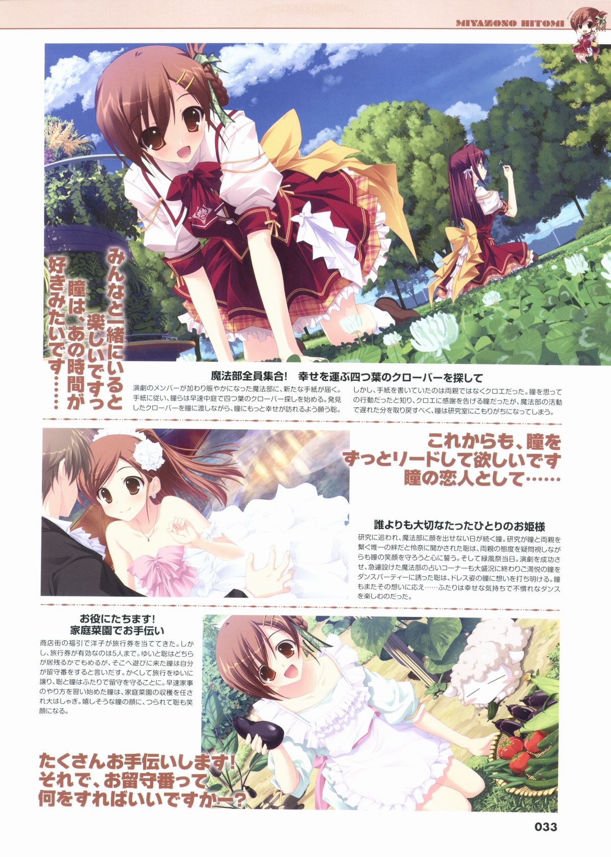 君を仰ぎ乙女は姫にビジュアルファンブック