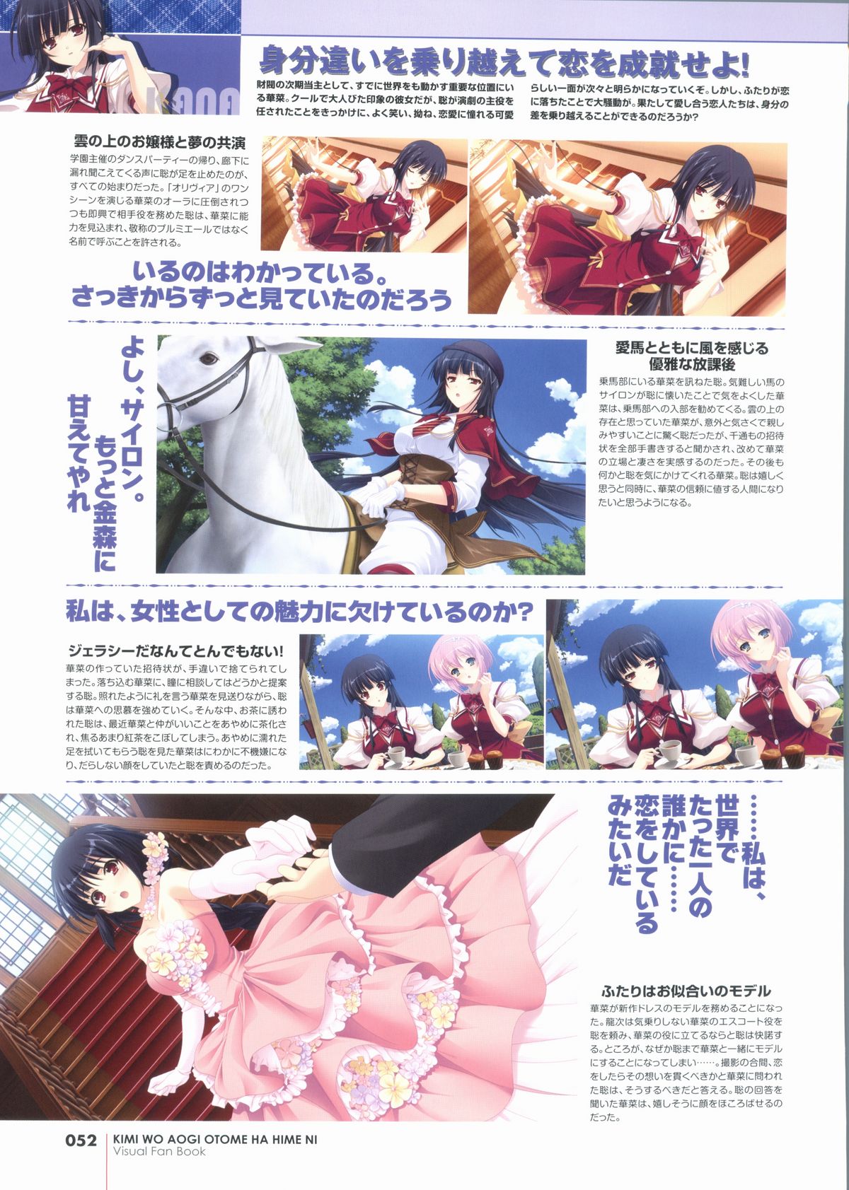君を仰ぎ乙女は姫にビジュアルファンブック