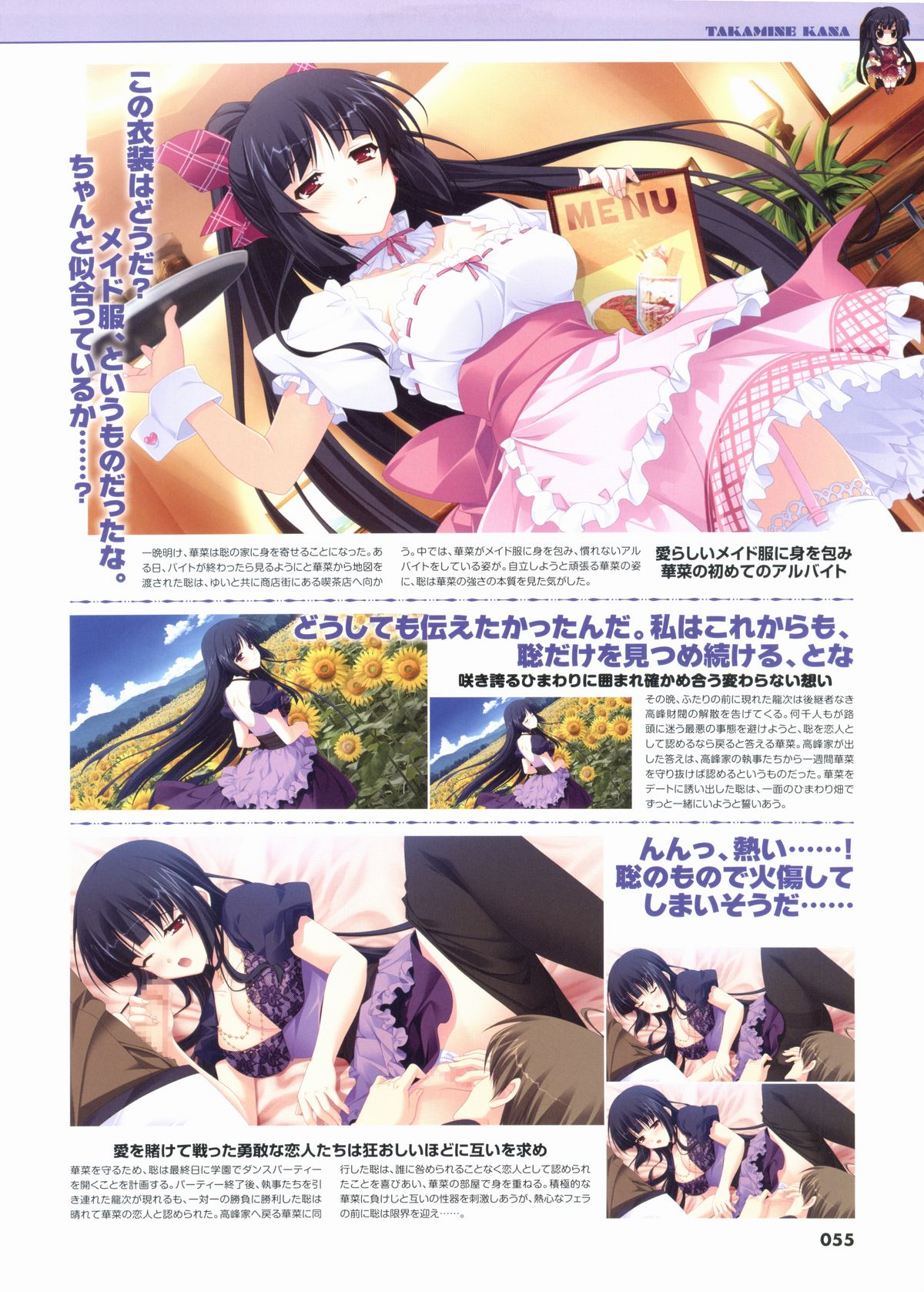 君を仰ぎ乙女は姫にビジュアルファンブック