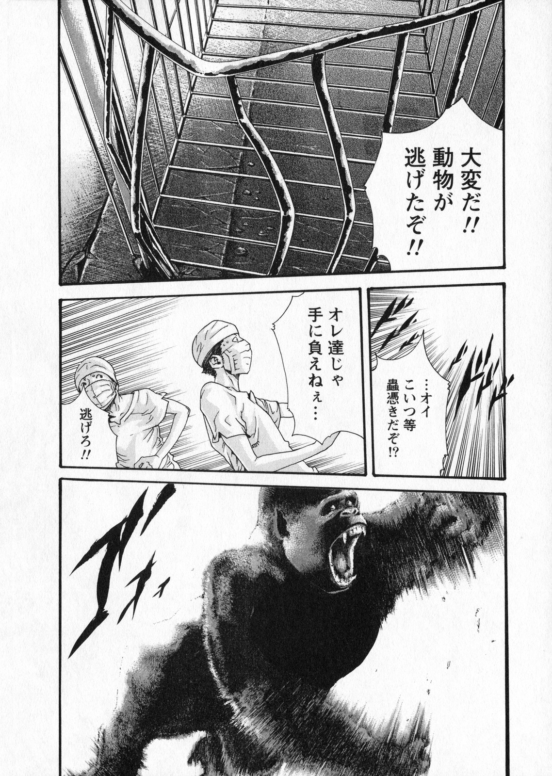 [春輝] 寄性獣医・鈴音 5