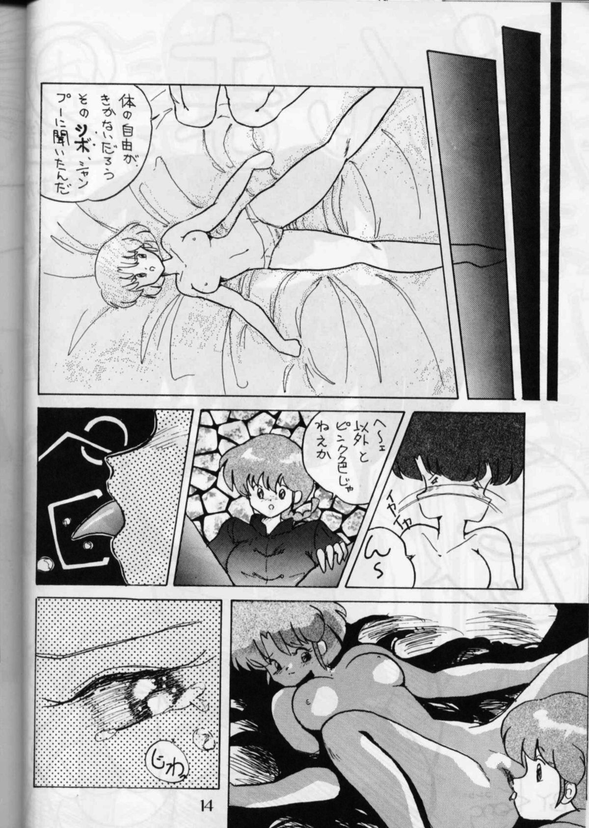 (C36) [PUSSY・CAT (大野哲也)] PUSSY・CAT Vol.16 (らんま1/2, アイドル伝説えり子)