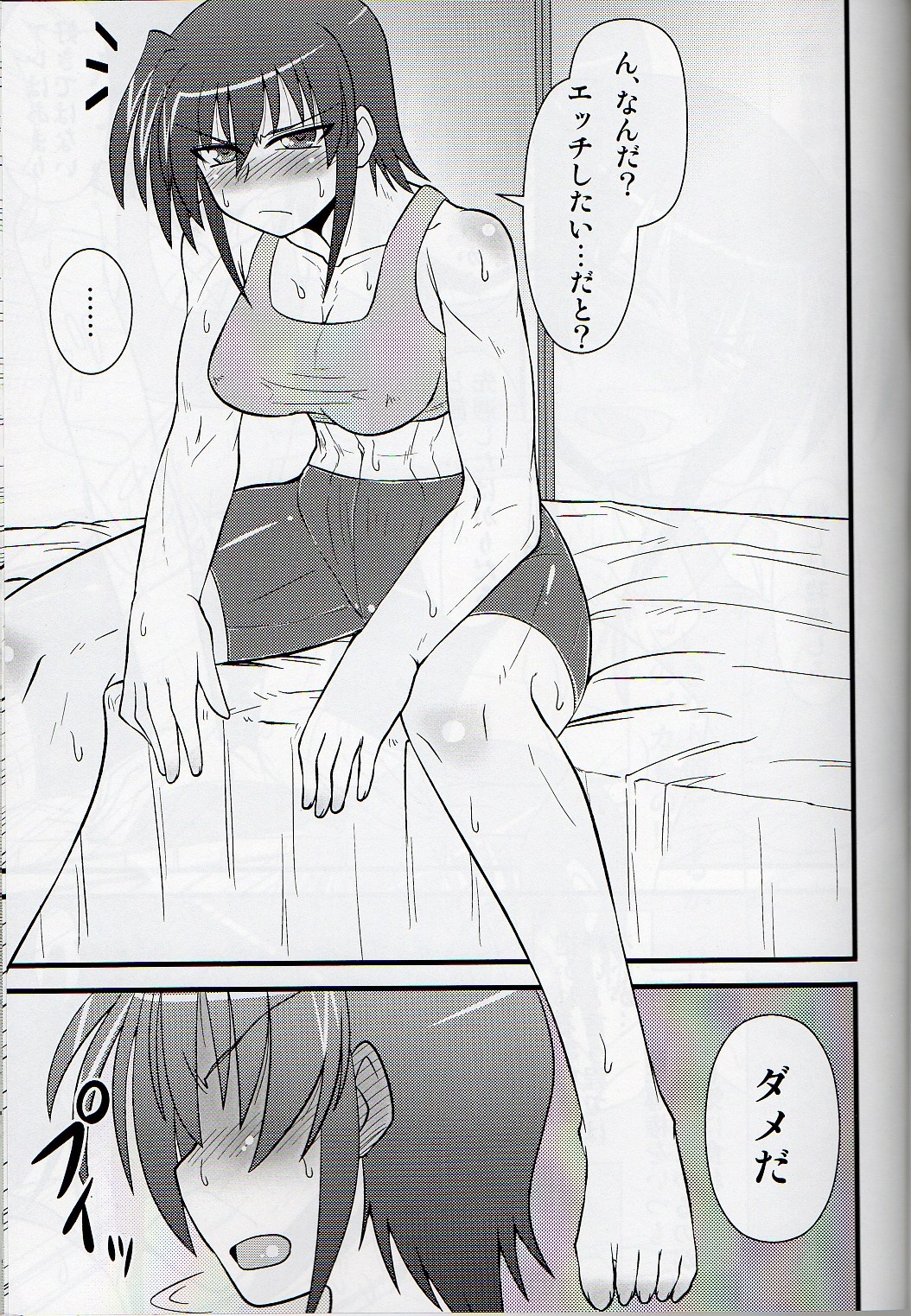 (C81) [しょんなか堂 (御剱剣)] III姉が好きでもいいじゃない (魔法少女リリカルなのは)