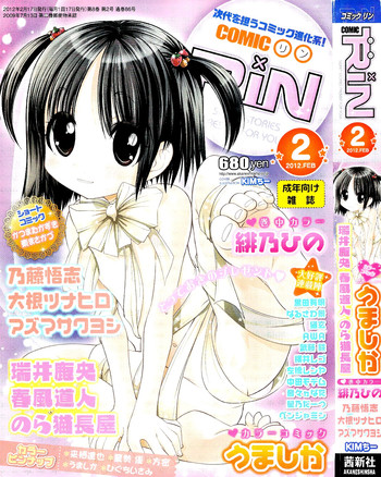 COMIC RiN 2012年2月号 COMIC RiN 2012年2月号