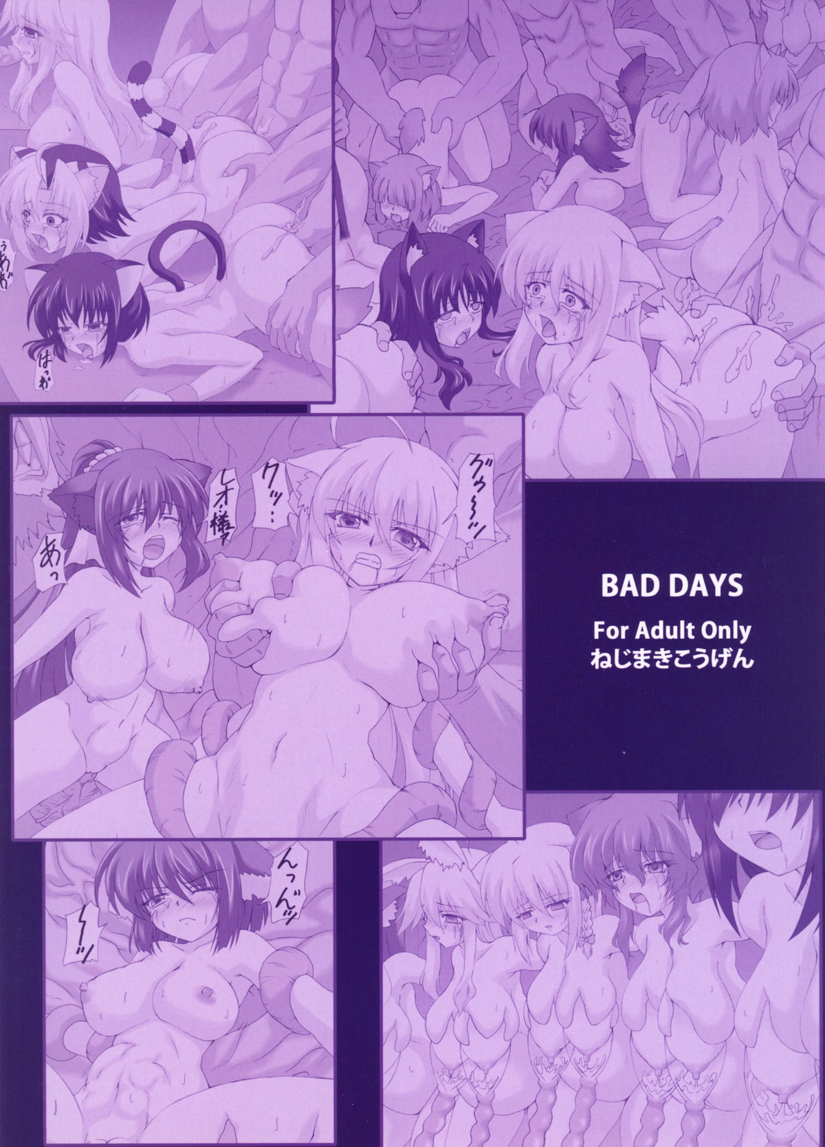 (C80) [ねじまきこうげん (きりさわときと)] BAD DAYS (Dog Days)