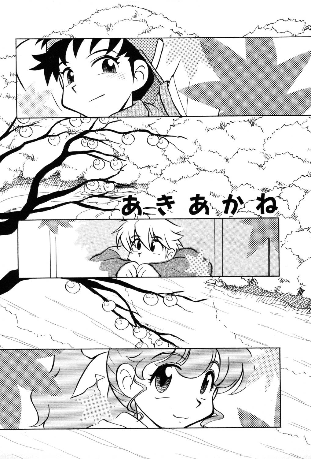 [夢ノ二] / [大石まさる] 流れ星はるか＋