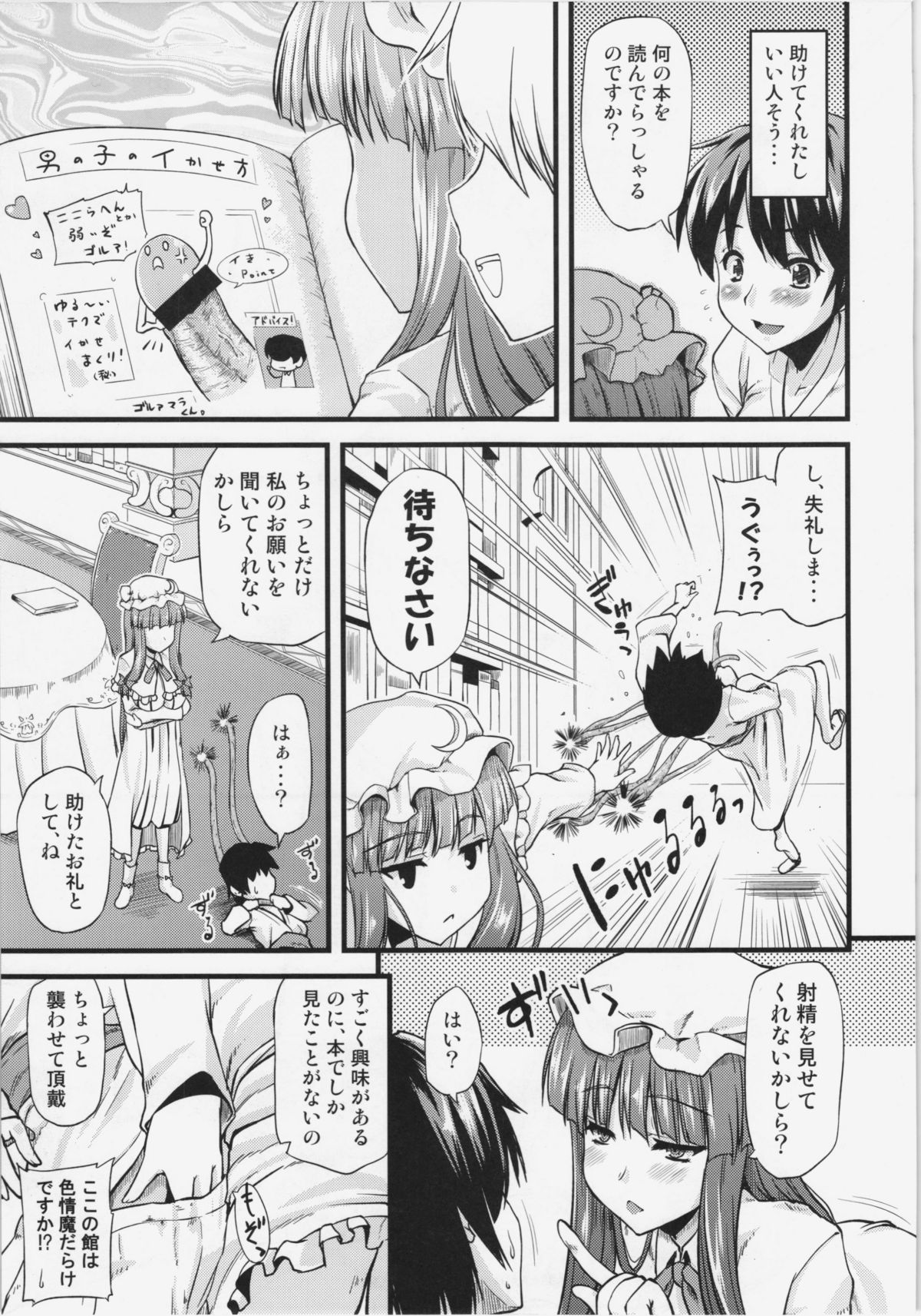 (C81) [from SCRATCH (じょにー)]図書館のお姉さんがいじめてあげる (東方Project)