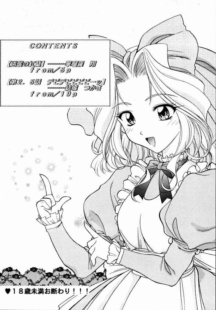 (Cレヴォ23) [芸は身を救う!! (結城つかさ、華瑠羅翔)] 予定は未定であって決定でない。2 (サクラ大戦)