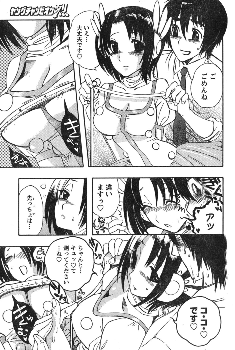 ヤングチャンピオン烈 Vol.12 (2008年05月25日増刊号)