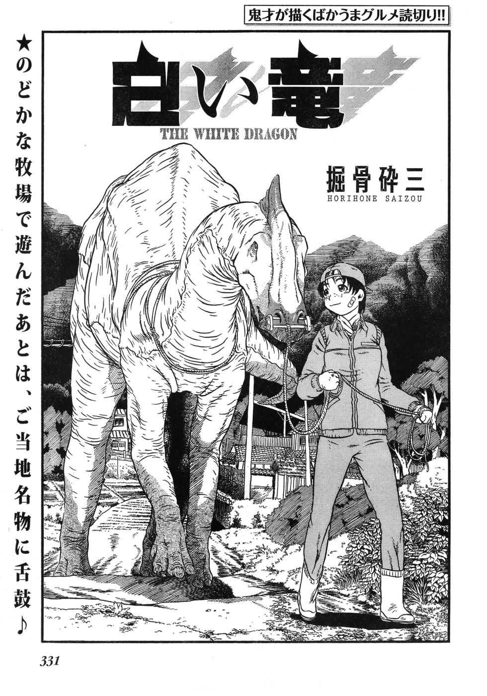 ヤングチャンピオン烈 Vol.12 (2008年05月25日増刊号)