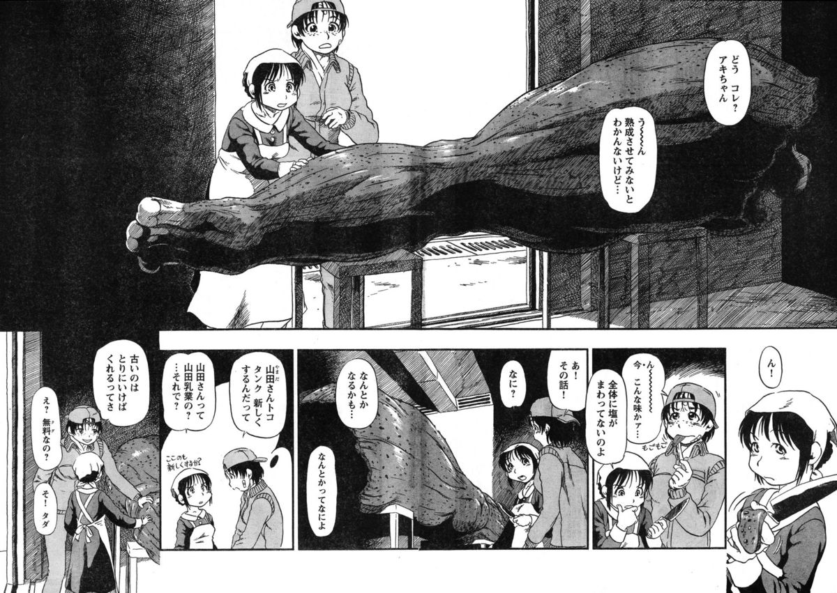 ヤングチャンピオン烈 Vol.12 (2008年05月25日増刊号)