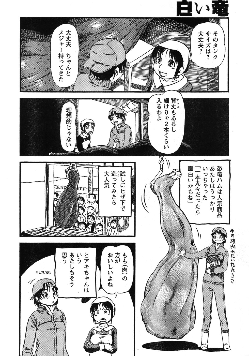 ヤングチャンピオン烈 Vol.12 (2008年05月25日増刊号)