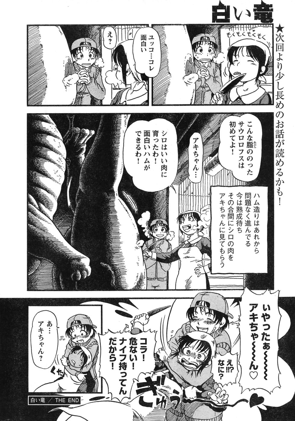 ヤングチャンピオン烈 Vol.12 (2008年05月25日増刊号)