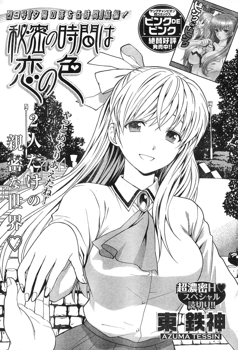 ヤングチャンピオン烈 Vol.12 (2008年05月25日増刊号)