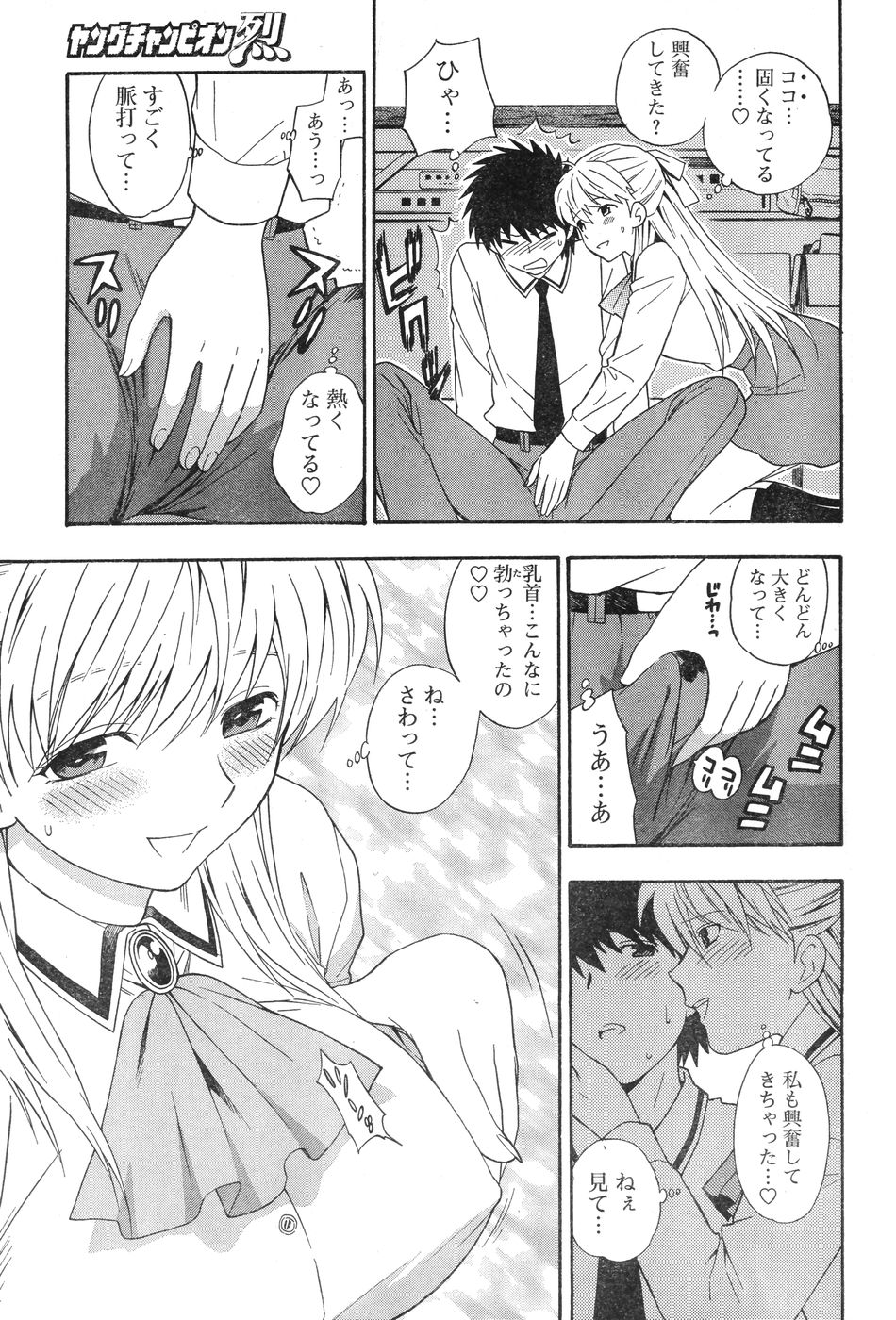 ヤングチャンピオン烈 Vol.12 (2008年05月25日増刊号)