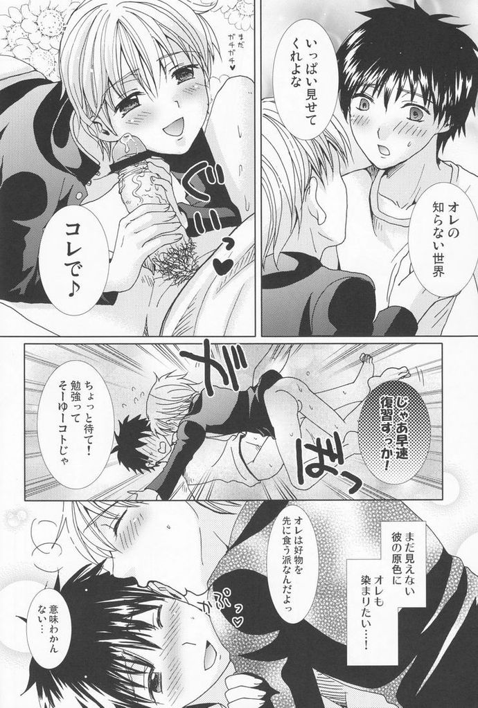 (C79) [少年劇楽隊 (林田)] 原色の詩