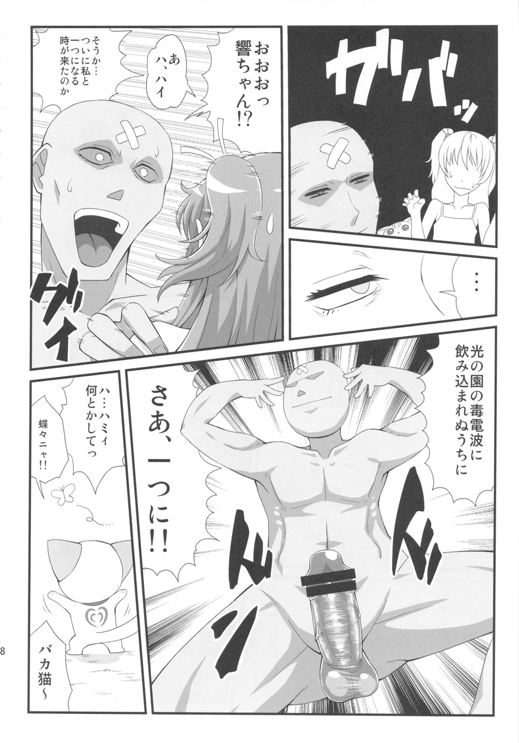 (C80) [居酒屋よっちゃん (江ノ島行き)] サラウンデッド (スイート プリキュア♪)